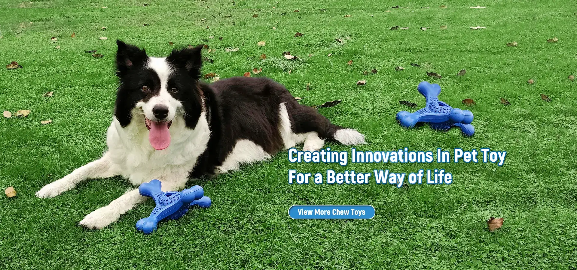 Chew Dog Toy Produsenter